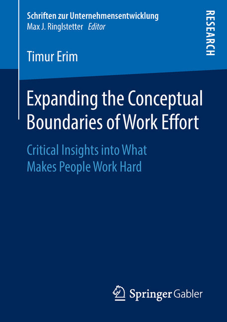 Expanding the Conceptual Boundaries of Work Effort