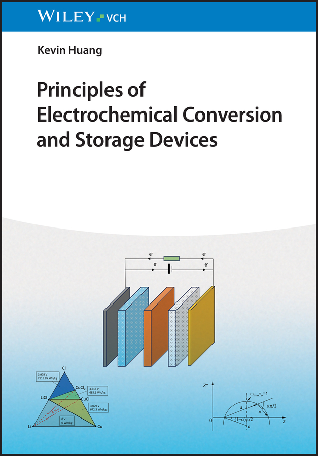 Principles of Electrochemical Conversion and Storage Devices