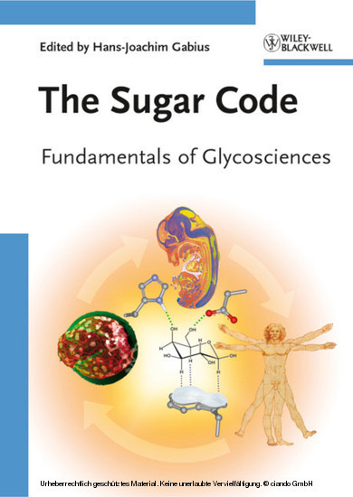 The Sugar Code