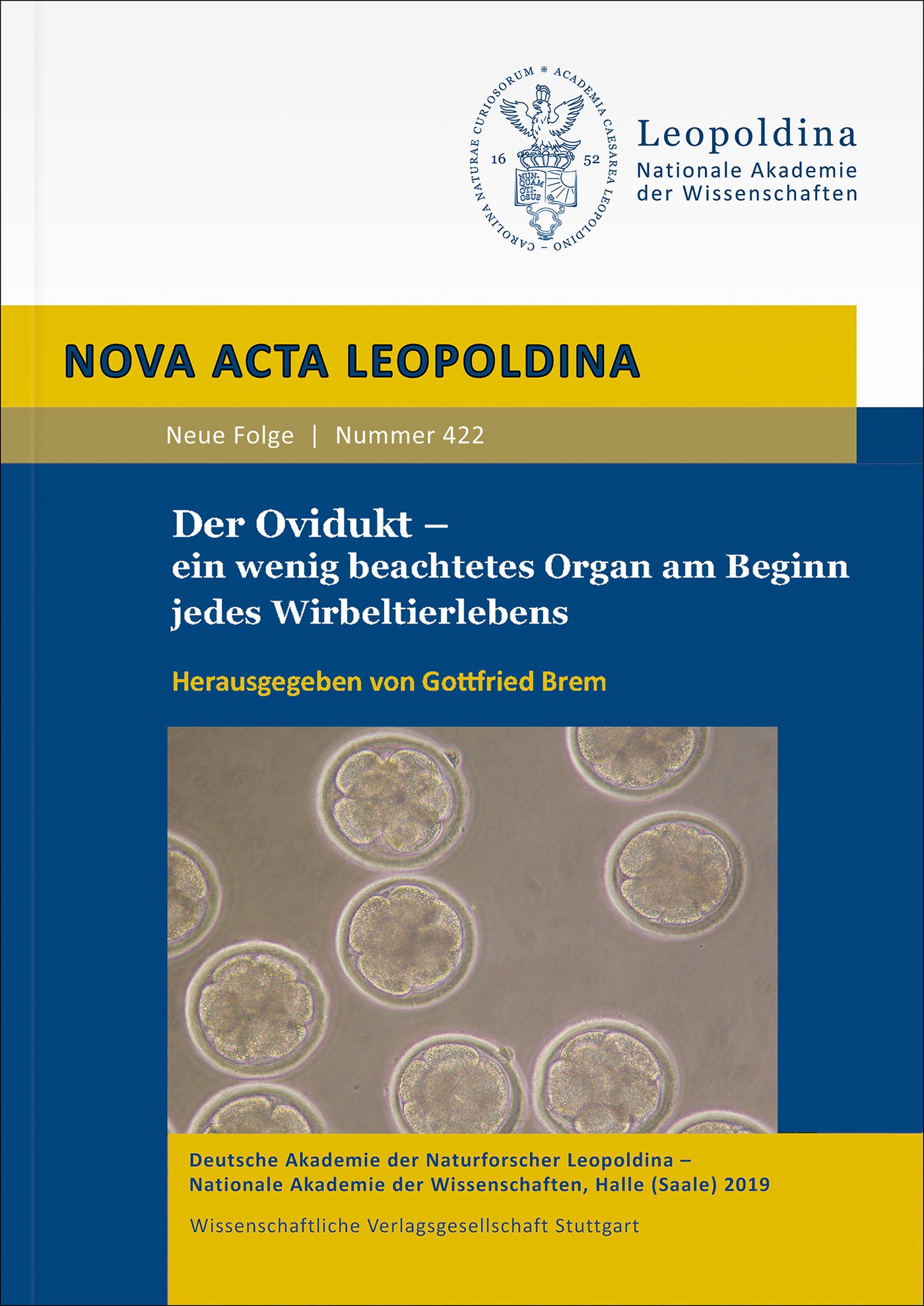 Der Ovidukt – ein wenig beachtetes Organ am Beginn jedes Wirbeltierlebens