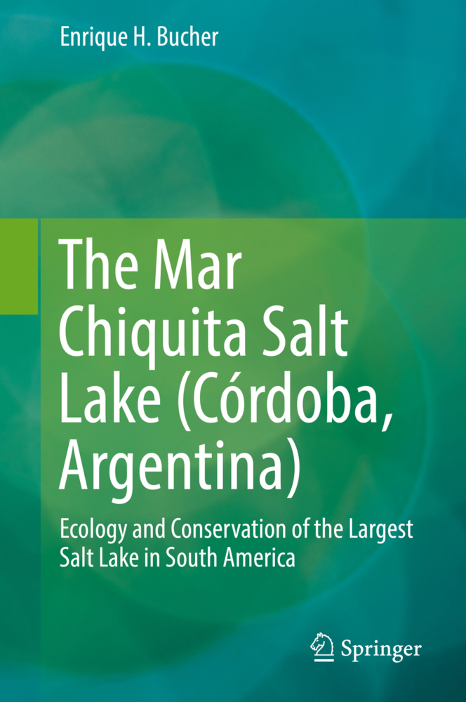 The Mar Chiquita Salt Lake (Córdoba, Argentina); .