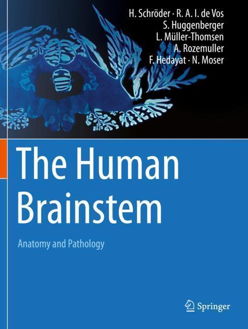 The Human Brainstem