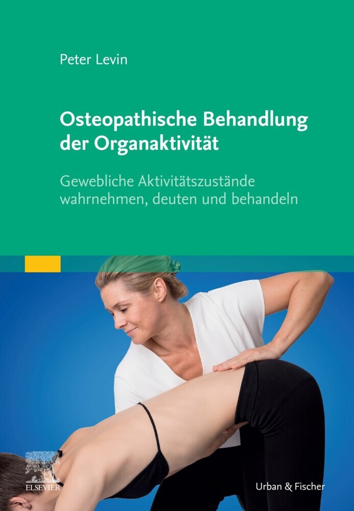 Osteopathische Behandlung der Organaktivität