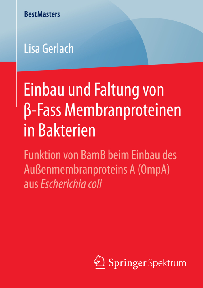 Einbau und Faltung von beta-Fass Membranproteinen in Bakterien