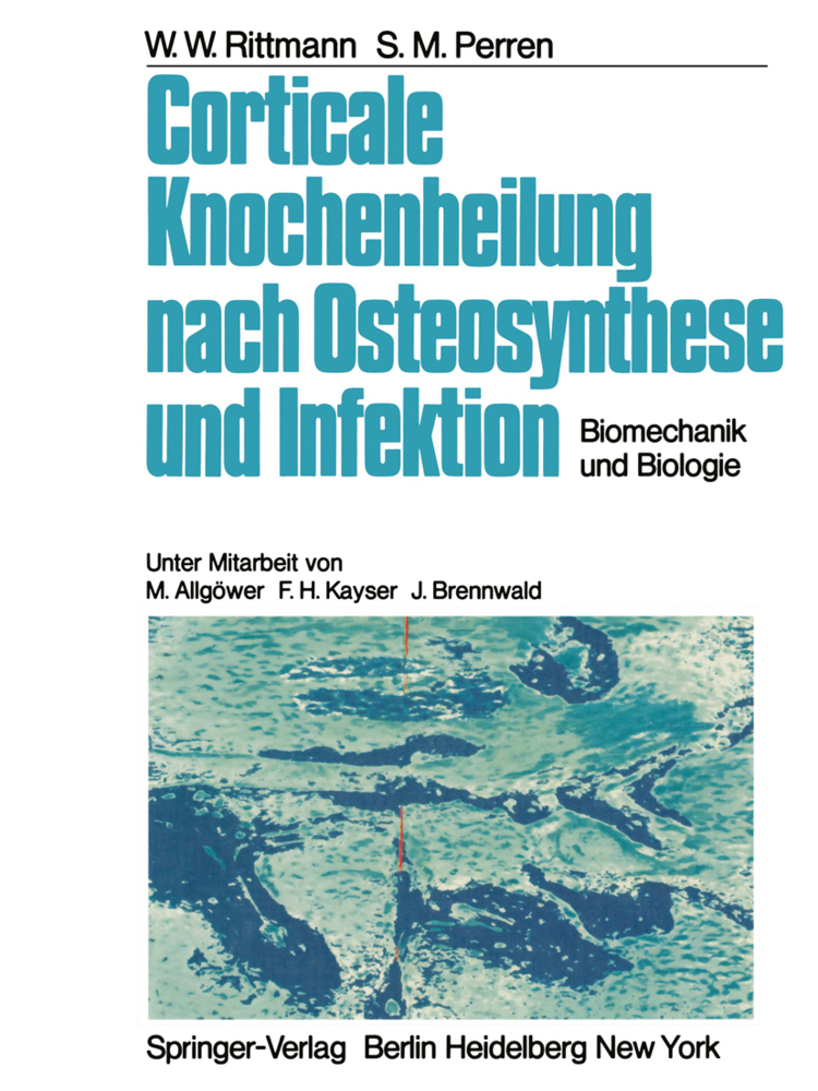 Corticale Knochenheilung nach Osteosynthese und Infektion