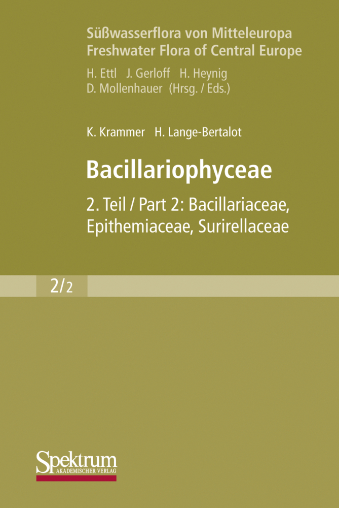 Bacillariophyceae. Tl.2