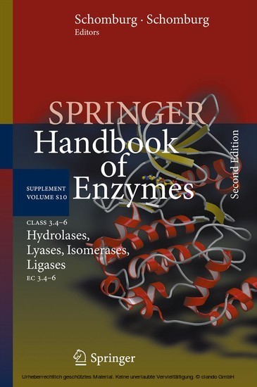 Class 3.4-6 Hydrolases, Lyases, Isomerases, Ligases