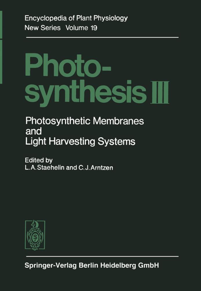 Photosynthesis III