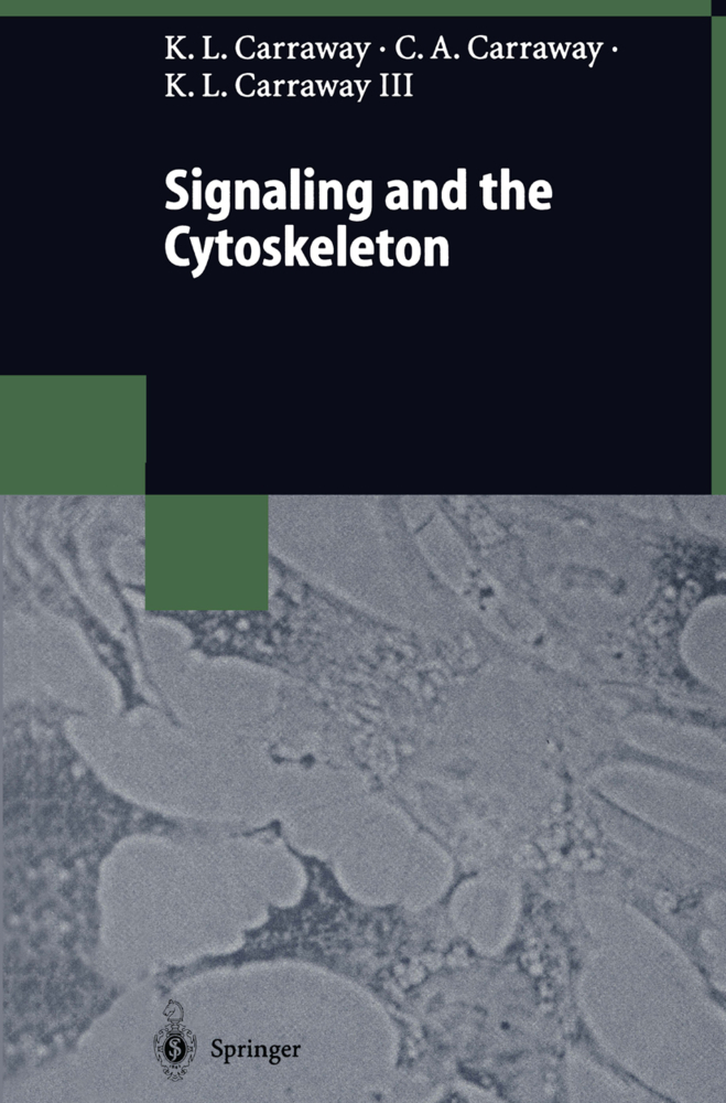 Signaling and the Cytoskeleton