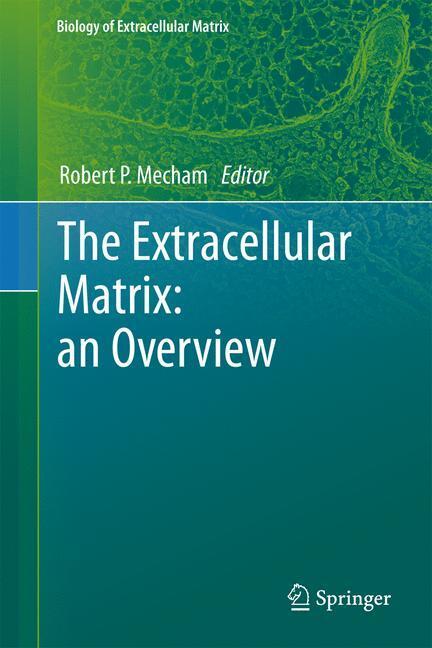 The Extracellular Matrix: an Overview