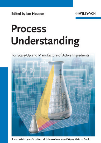 Process Understanding