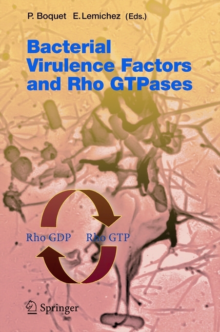 Bacterial Virulence Factors and Rho GTPases