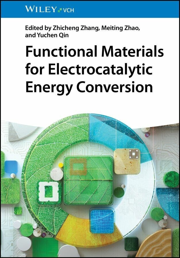 Functional Materials for Electrocatalytic Energy Conversion