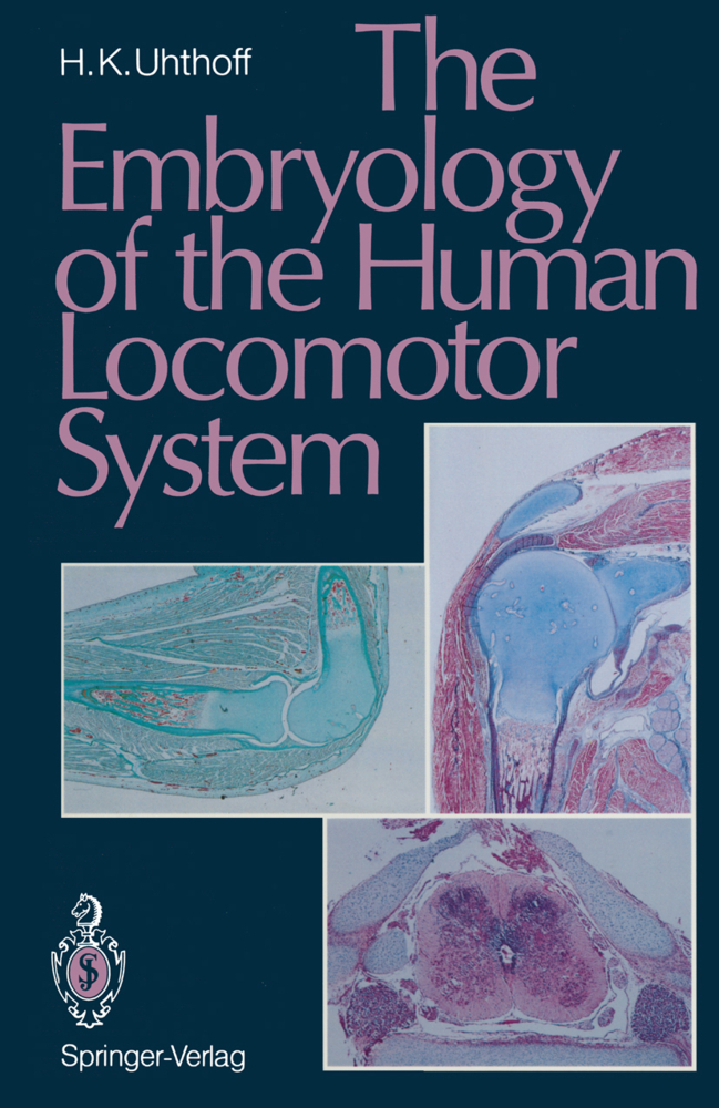 The Embryology of the Human Locomotor System