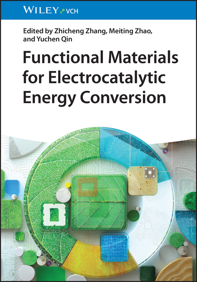 Functional Materials for Electrocatalytic Energy Conversion