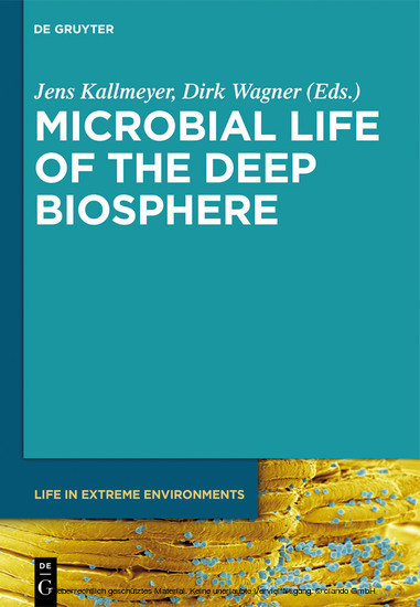 Microbial Life of the Deep Biosphere