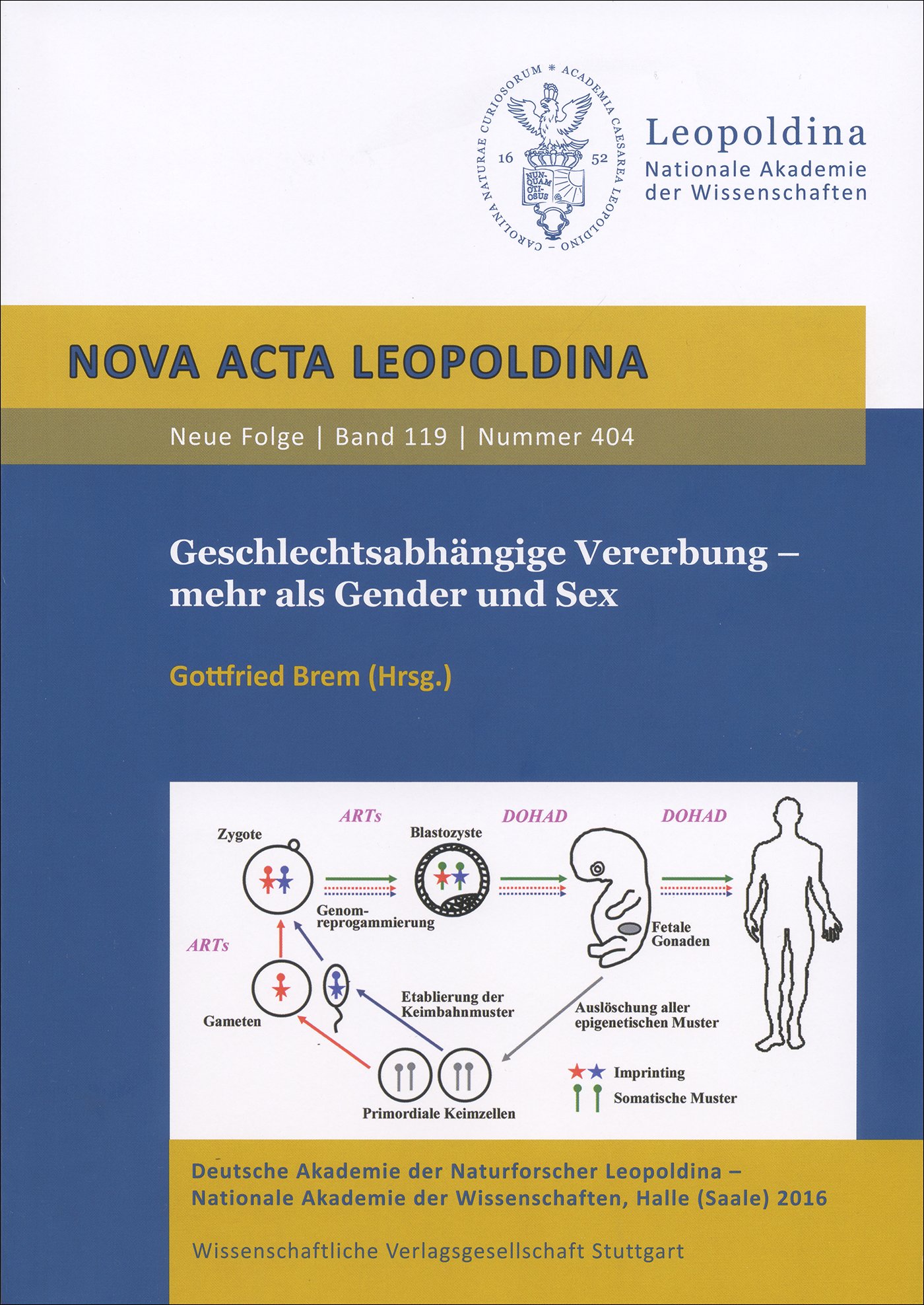 Geschlechtsabhängige Vererbung – mehr als Gender und Sex