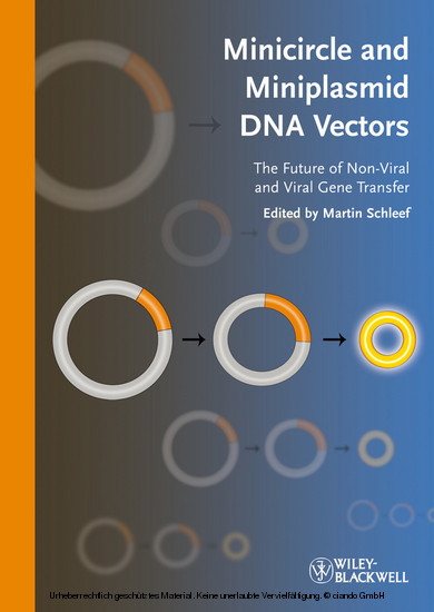 Minicircle and Miniplasmid DNA Vectors
