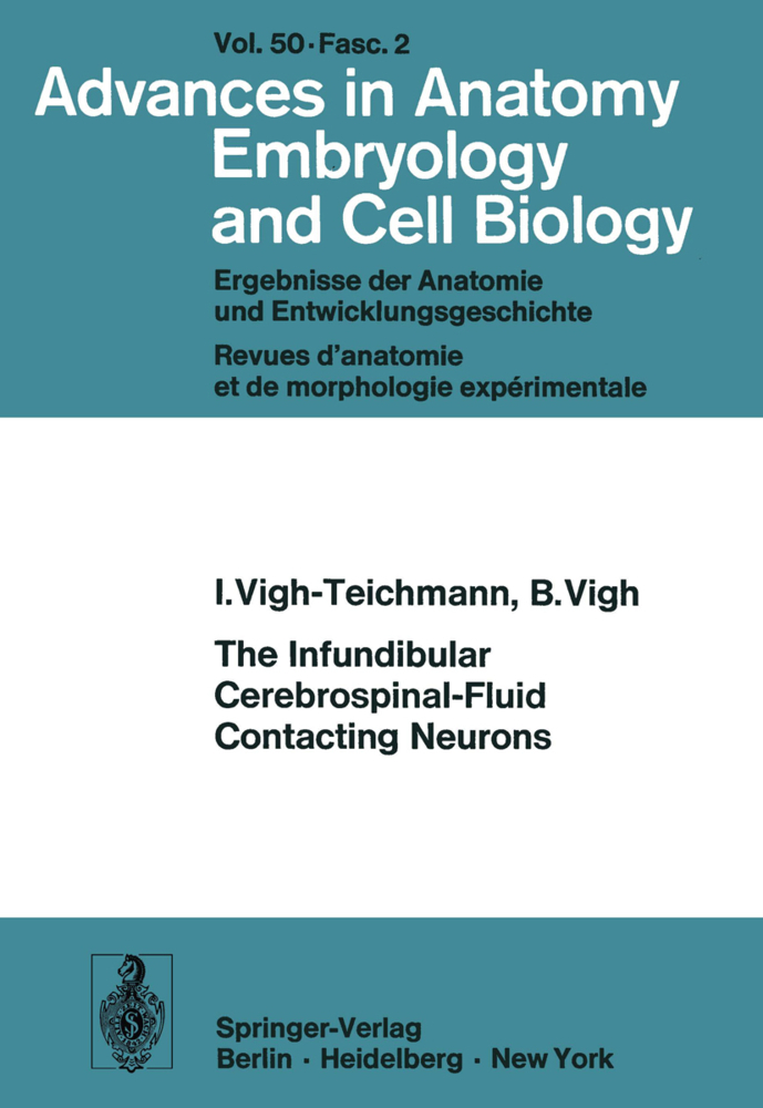 The Infundibular Cerebrospinal-Fluid Contacting Neurons