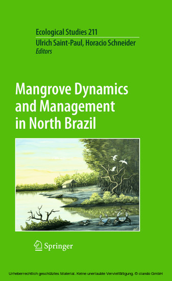 Mangrove Dynamics and Management in North Brazil