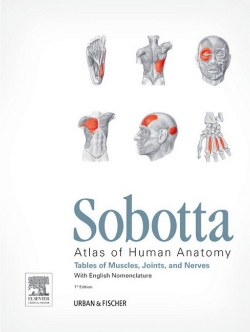 Sobotta Tables of Muscles, Joints and Nerves