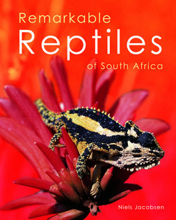 Remarkable Reptiles of South Africa