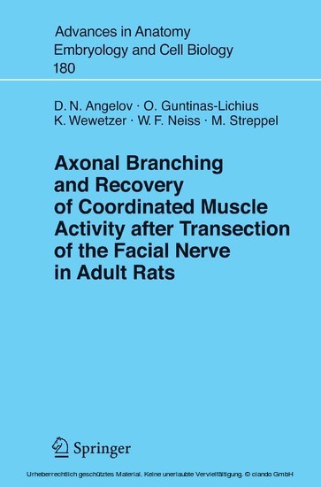 Axonal Branching and Recovery of Coordinated Muscle Activity after Transsection of the Facial Nerve in Adult Rats