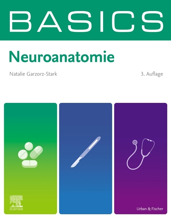 BASICS Neuroanatomie