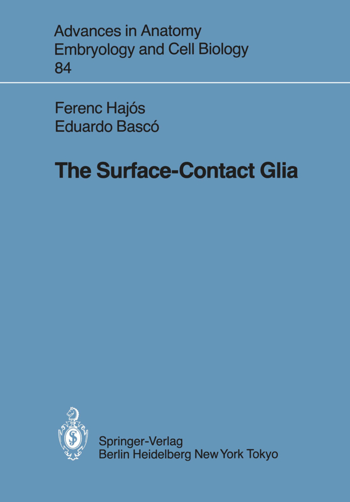The Surface-Contact Glia