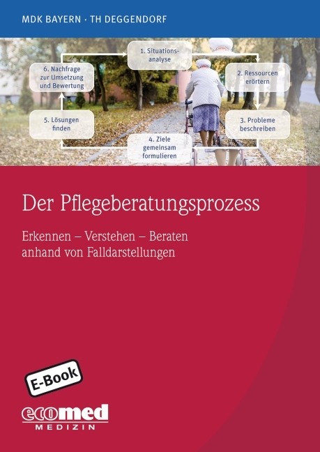 Der Pflegeberatungsprozess anhand von Fallverläufen