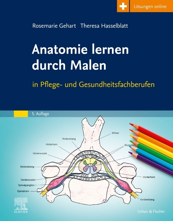 Anatomie lernen durch Malen