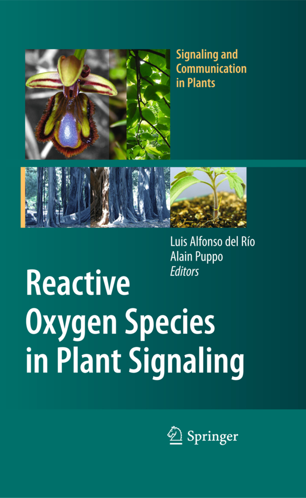 Reactive Oxygen Species in Plant Signaling