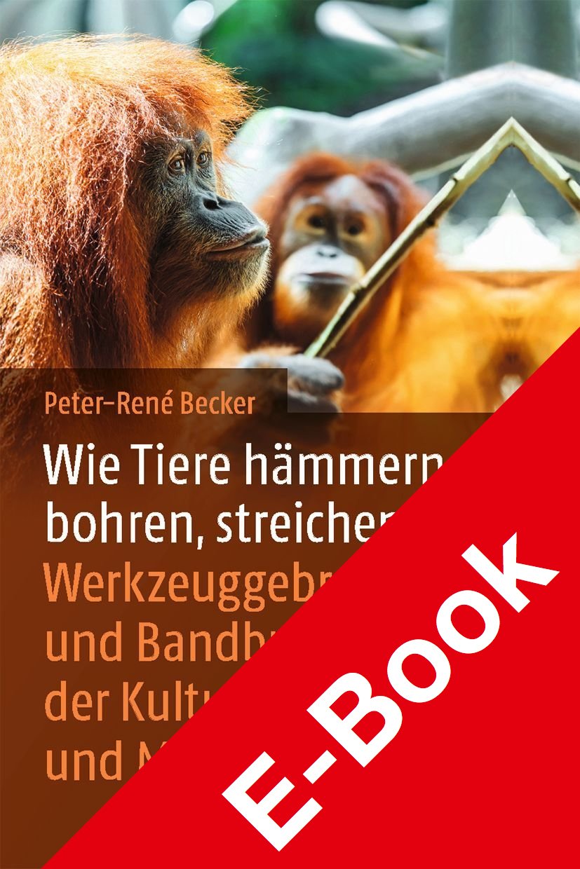 Wie Tiere hämmern, bohren, streichen